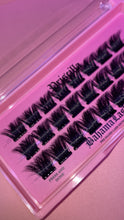 PRISCILLA - Pre glued lashes