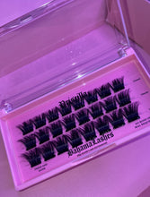 PRISCILLA - Pre glued lashes